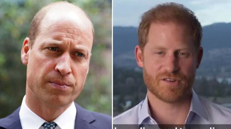 Prince Harry shared an emotional video that delivered a heart felt message after reunion with brother Prince William. See more...