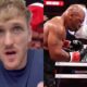 Logan Paul publicly apologises to brother Jake after Tyson win: ‘Sorry for…'